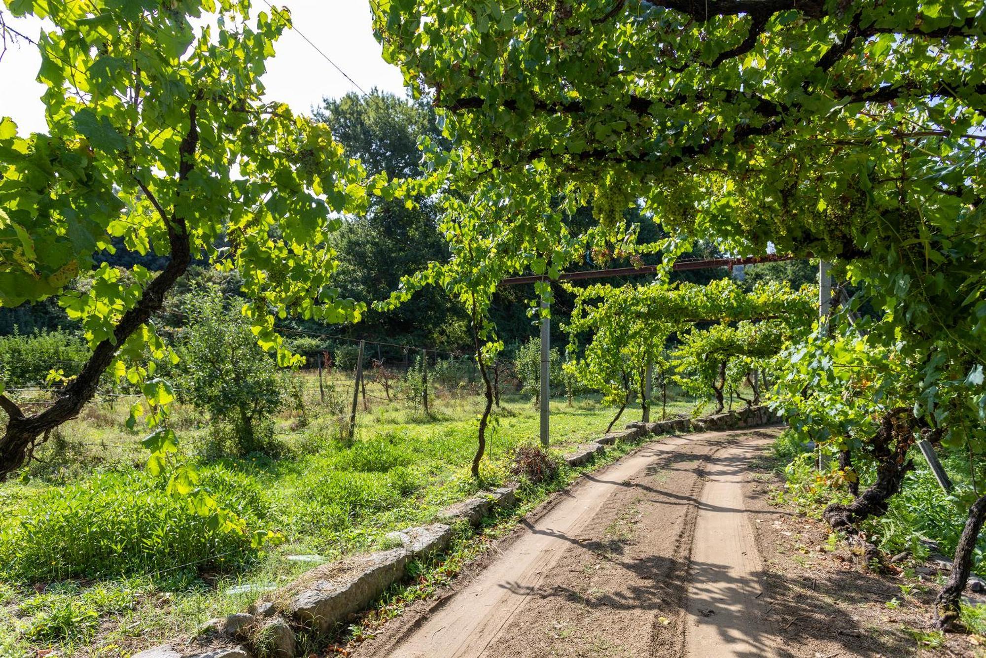 Quinta Da Comenda Sao Pedro do Sul Exterior photo